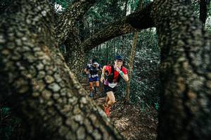 BIB: 
                            <button type="button" onclick="openModal(25392299)" class="btn btn-primary btn-sm float-right btn-popup" data-toggle="modal" data-target=".modal-high-quality">
                        <i class="fas fa-shopping-cart"></i> Add to Cart
                    </button>
                                            <button type="button" onclick="isThisMe(25392299, true)" class="btn btn-success btn-sm float-right btn-popup btn-isme hidden" data-toggle="tooltip" data-placement="bottom" title="นี่คือรูปของคุณใช่ไหม คลิกที่นี่เพื่อเอาเข้าอัลบั้ม">
                        <i class="fas fa-plus"></i> Add to album
                    </button>
                    <button type="button" onclick="isThisMe(25392299, false)" class="btn btn-warning btn-sm float-right btn-popup btn-isnotme hidden">
                        <i class="fas fa-ban"></i> Remove from album
                    </button>